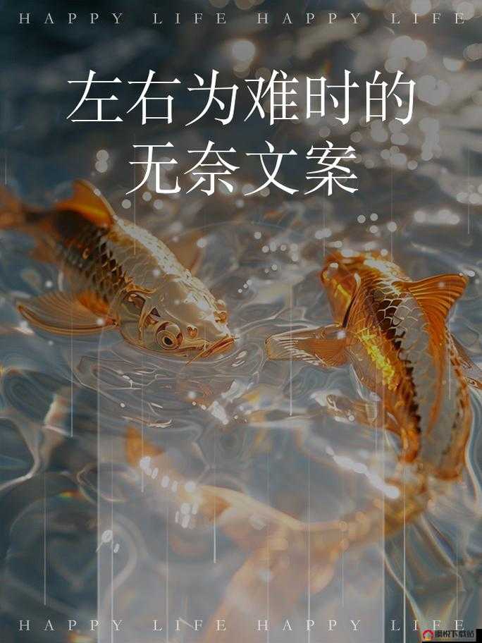 在两难境地中挣扎的磨心：左右为难的困境