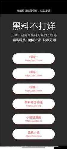 668.su 黑料正能量入口密码相关：探讨 668.su 黑料正能量入口密码背后的故事与意义